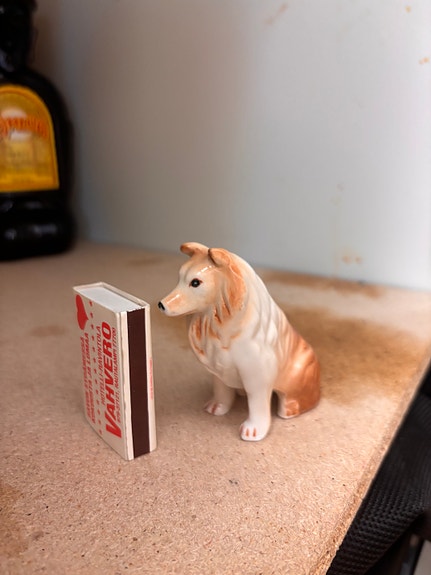 Collie posliini retro