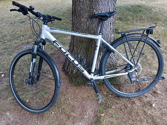 Focus hybridipyörä
