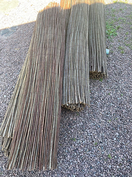 Näkösuoja pajusta