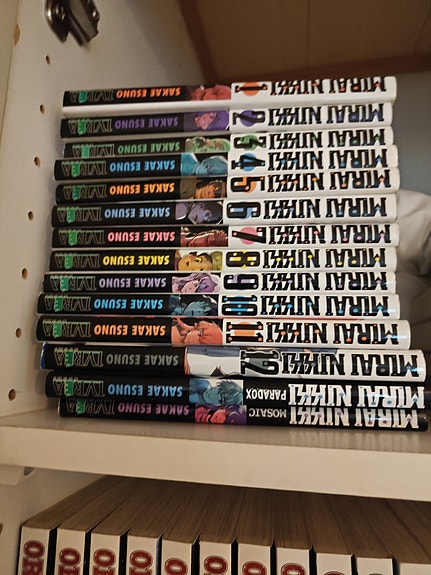 Mirai Nikki manga koko sarja
