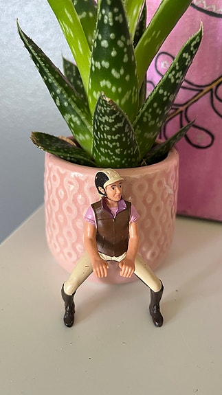 Schleich