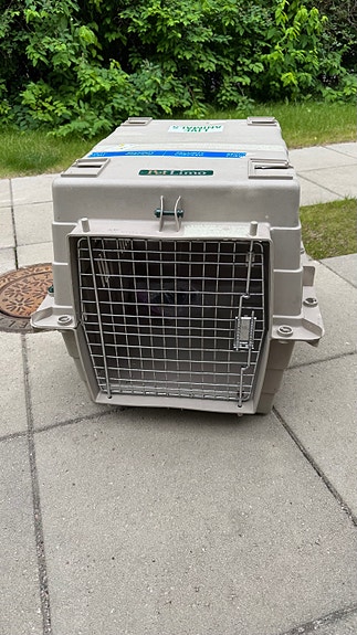 Pet Limo lentoboksi koiralle