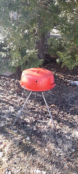 Arabian grilli