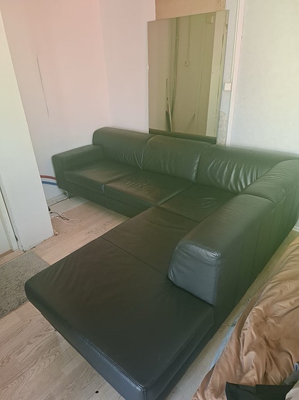 Nahkasohva ja rahi