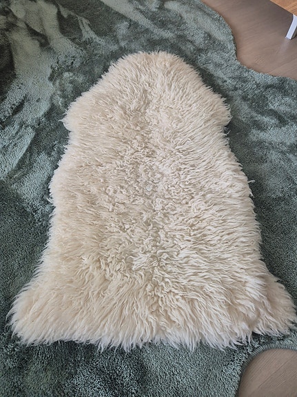 Lampaantalja