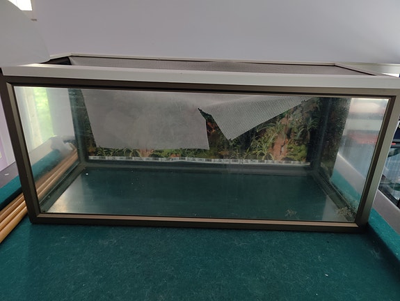 Lasinen akvaario / terraario matelijalle