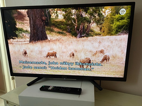 Sony Bravia W8 32" televisio