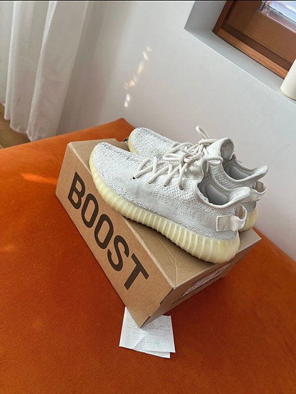 Adidas yeezy boost 350