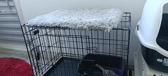Kissa tai koiran iso kuljetushäkki
