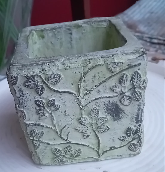 Kukkaruukku 10 cm x 10 cm