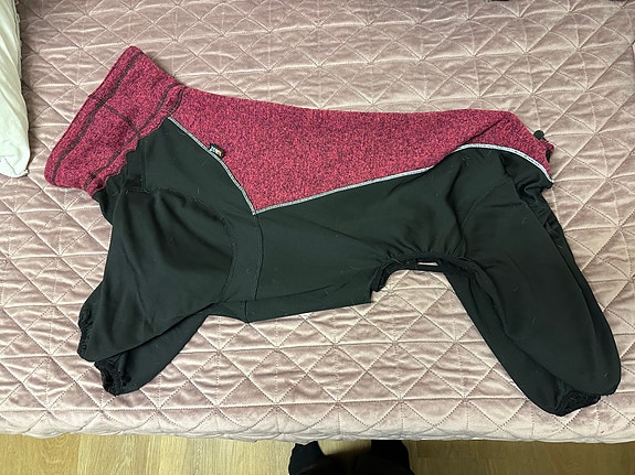 Rukka 65cm koiran haalari