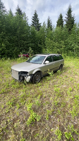 Volkswagen Passat farmari TDI osina