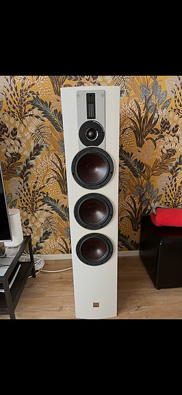 Dali rubicon 8