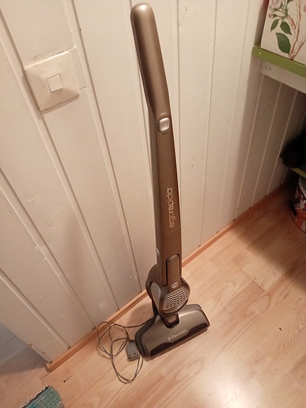 Electrolux Ergorapido 2in1 varsi-imuri