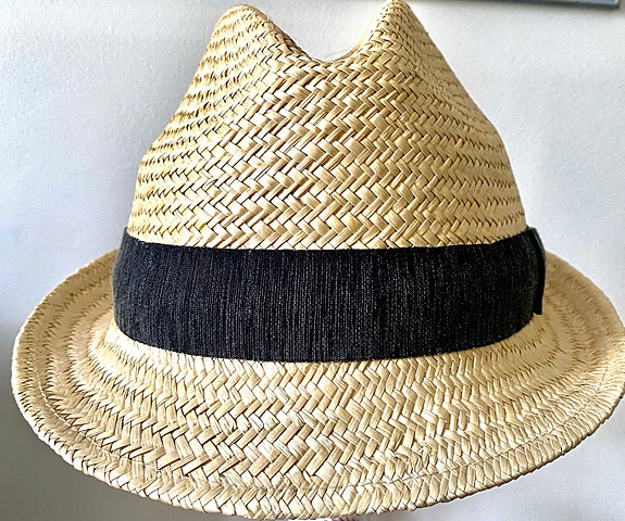 Bailey of Hollywood - hattu