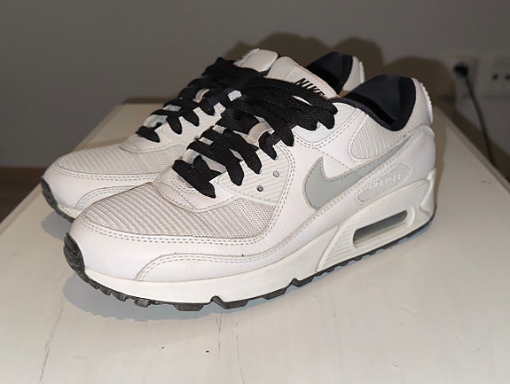 Nike Air Max 90 (Custom)