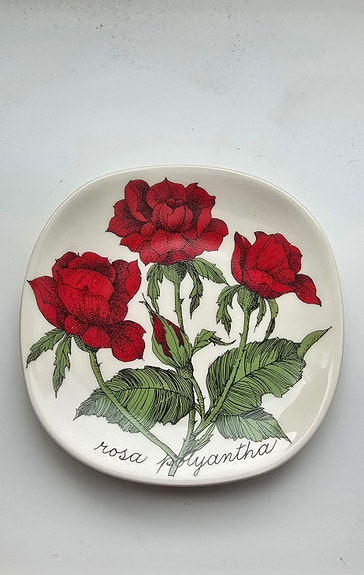 Arabia Rosa Polyantha seinälautanen