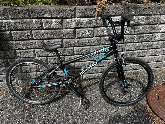 Haro Annex Expert Race BMX