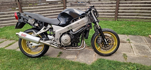 Honda mustarastas 1100xx blackbird