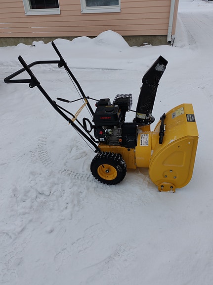 Meister DAR0961 lumilinko 5,5 hp 163cc