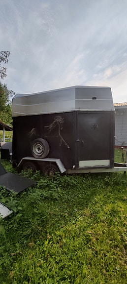 1,5 hevosen teli