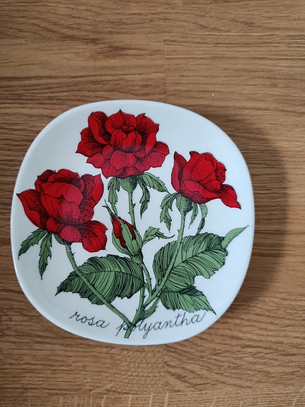Arabia Rosa Polyantha seinälautanen