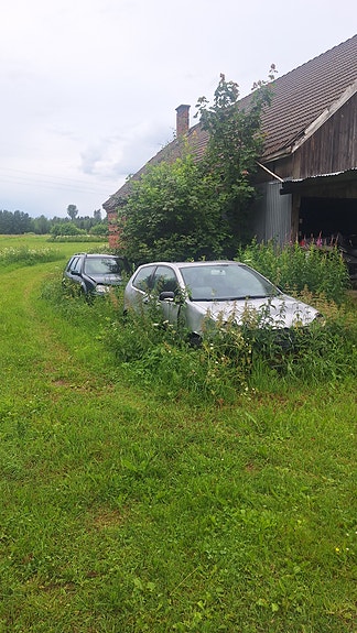 vw polo ja golf