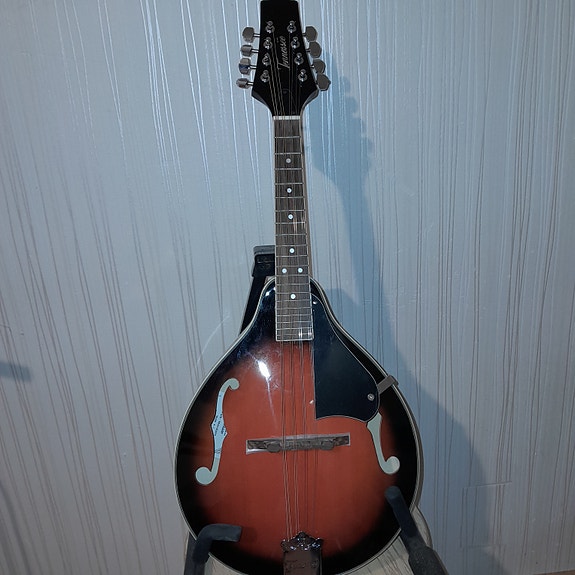 Tennessee Mandoliini