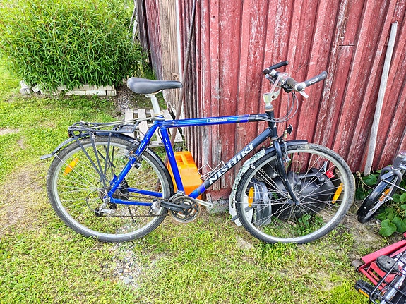 Nishiki hybridi