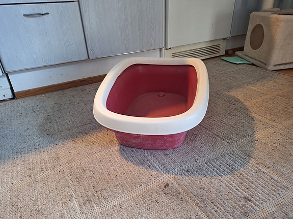 Kissan hiekkalaatikko