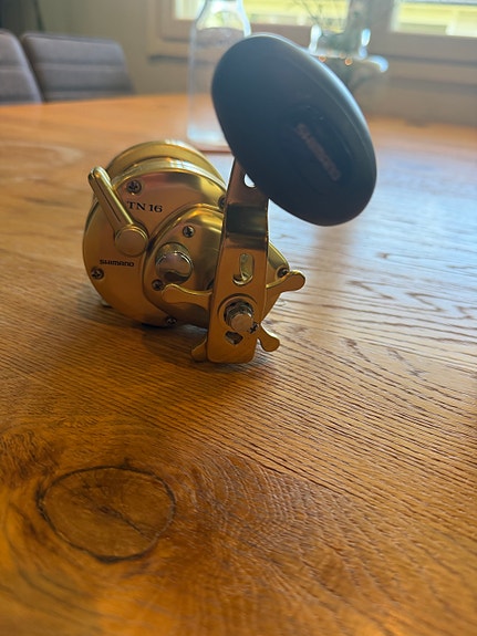 Shimano Trinidad TN 16 kela kultainen