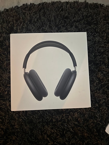 Air pod max