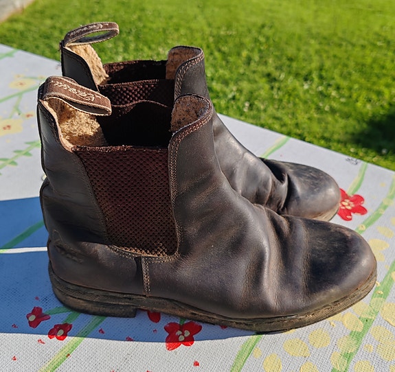 vequi comfort nahkaiset ratsastuskengät koko 39