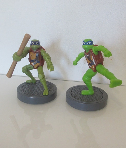 Teenage Mutant Ninja Turtles Leonardo