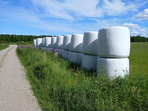 Heinää