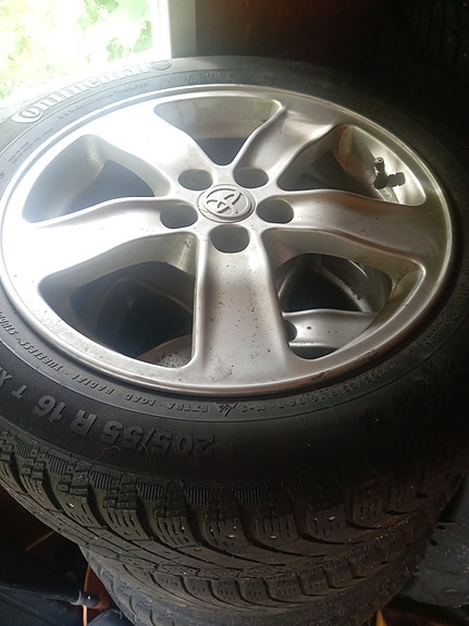 Avensis t25