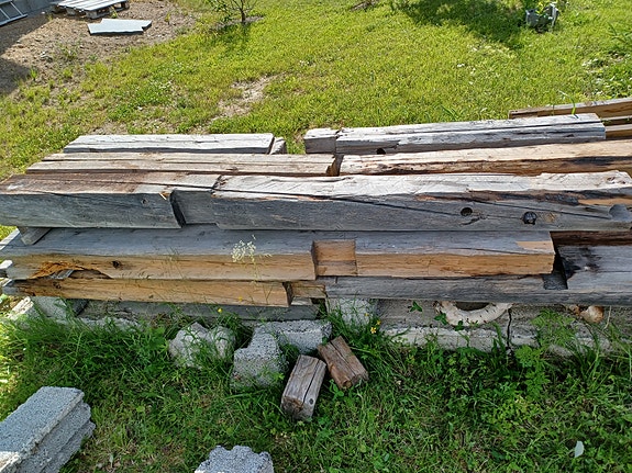 Hirsiä