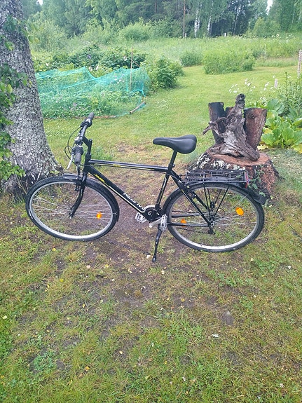 Raleigh canion 28