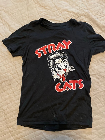 Stray cats t-paita