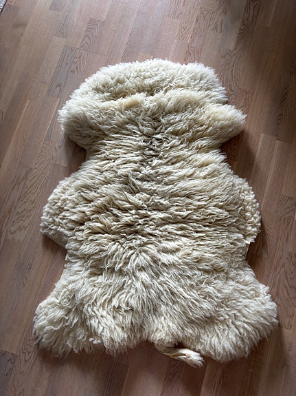 Aito lampaantalja
