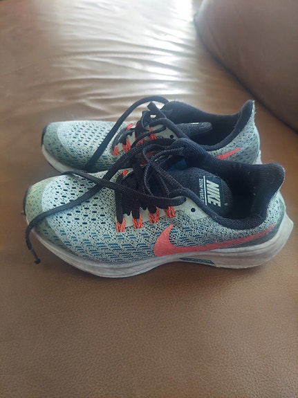 Nike zoom pegasus