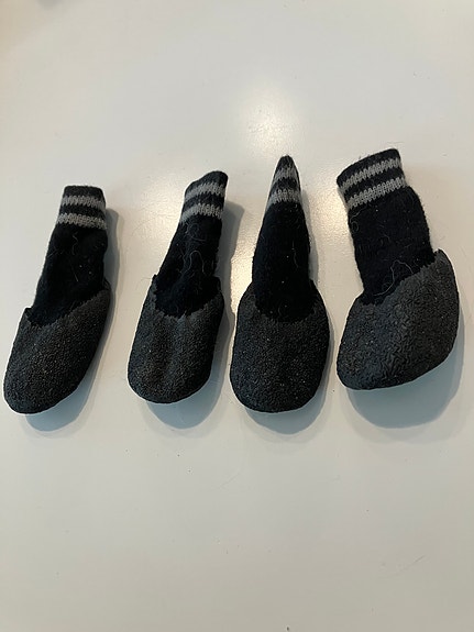 Basic paws socks