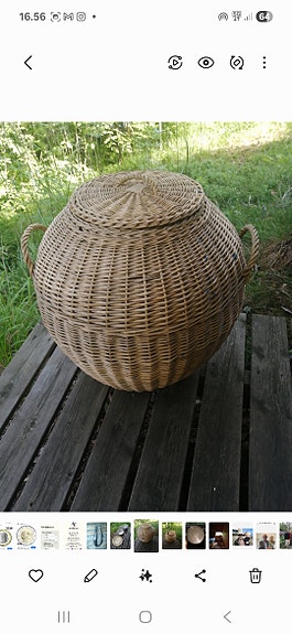 Kannellinen kori