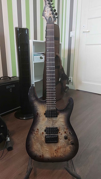 Schecter C-6 Pro