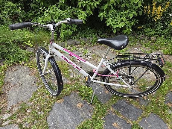 Nakamura Peppino 24”