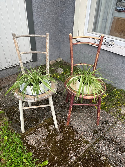 Kukkapöytä