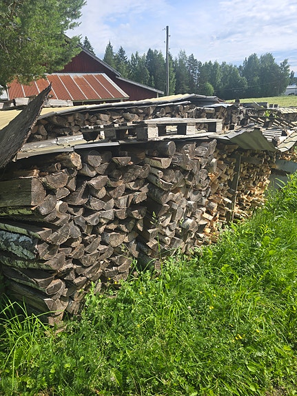 Polttopuut koivua
