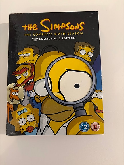 The Simpsons kausi 6 DVD