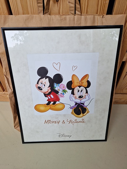 Mikki ja Minni taulu