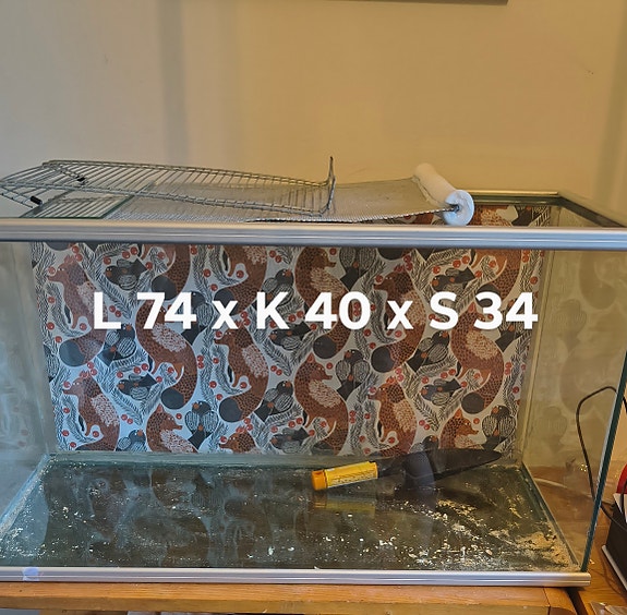 Terraario +tarvikkeet